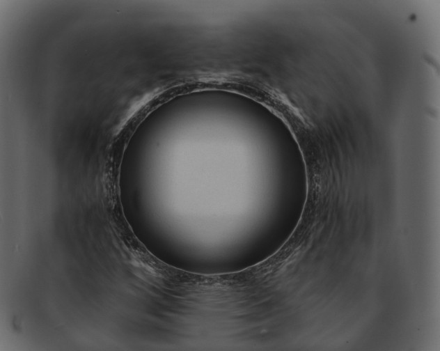 X0000091901256200709191230