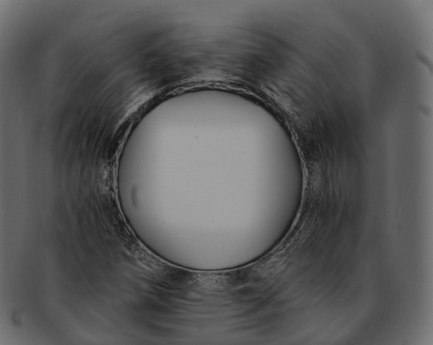 X0000091901258200709191230