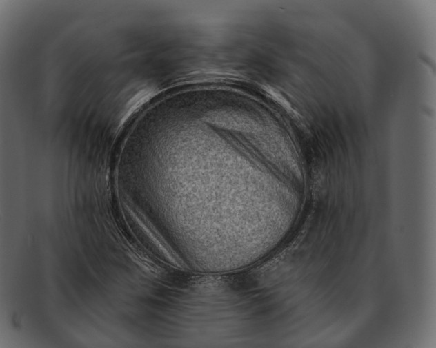 X0000091901259200709191230