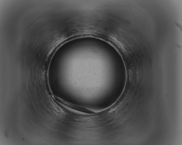 X0000091901260200709191230