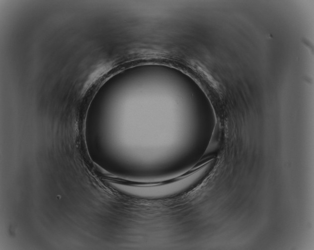 X0000091901261200709191230