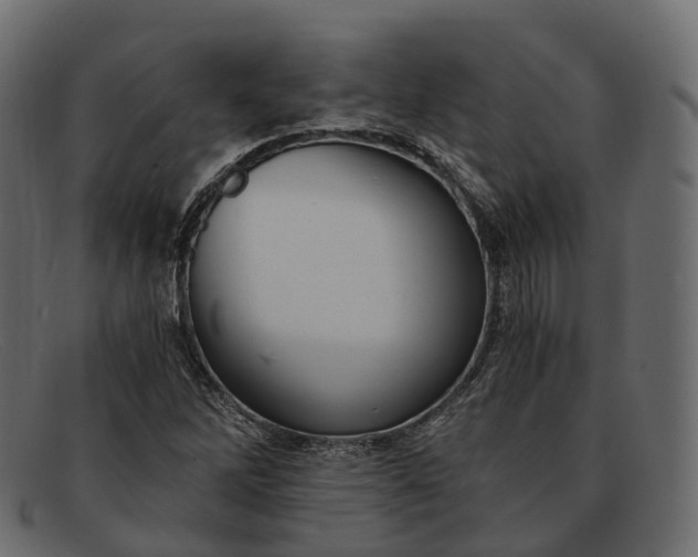 X0000091901262200709191230