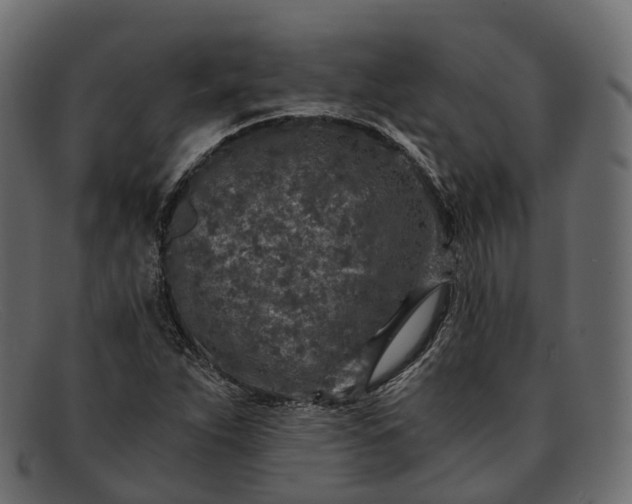 X0000091901263200709191230