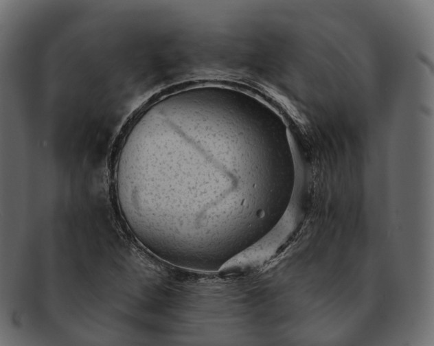 X0000091901264200709191230