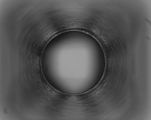 X0000091901265200709191230