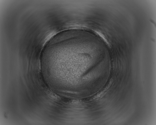 X0000091901267200709191230