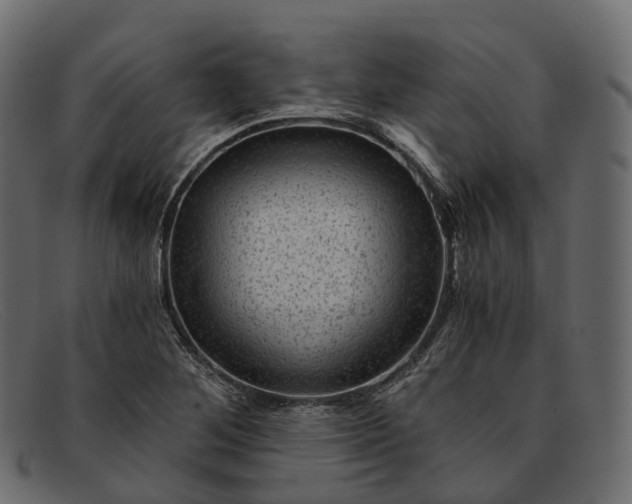 X0000091901268200709191230