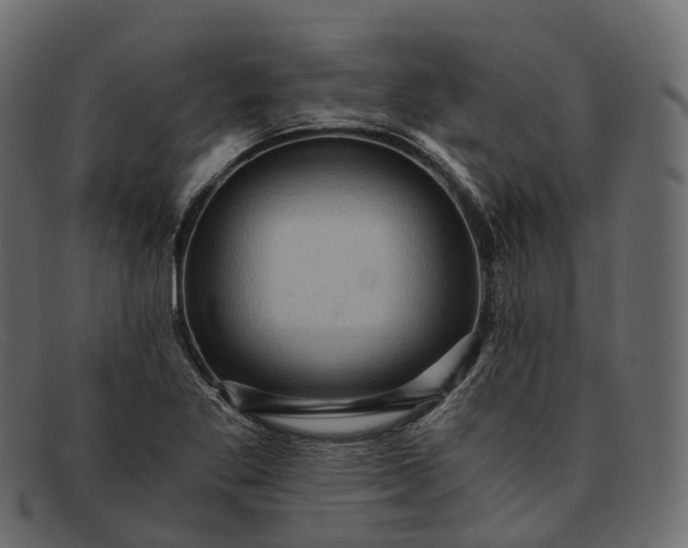 X0000091901269200709191230