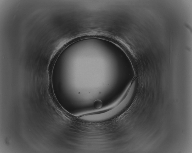 X0000091901270200709191230