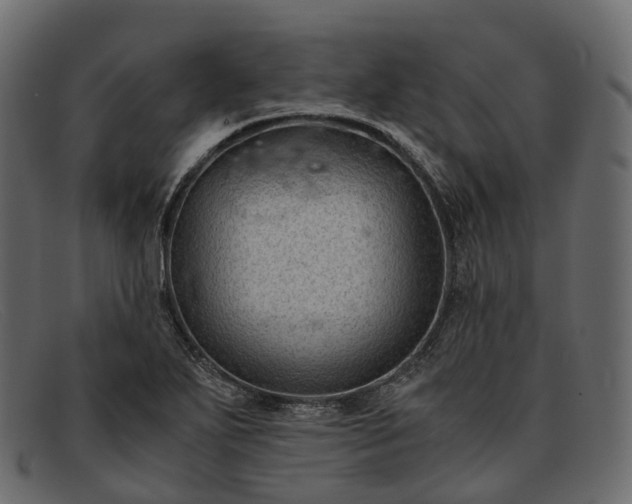 X0000091901271200709191230