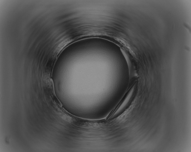 X0000091901273200709191230