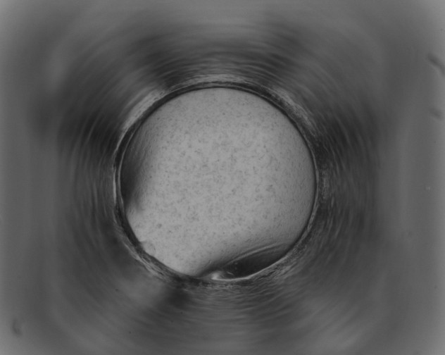 X0000091901274200709191230