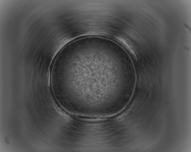 X0000091901276200709191230