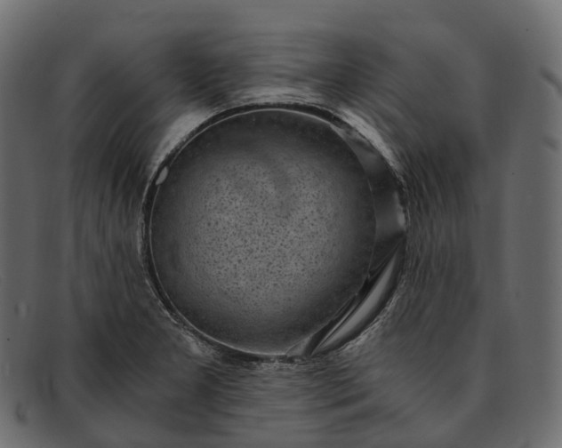 X0000091901277200709191230