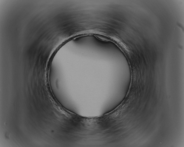 X0000091901278200709191230