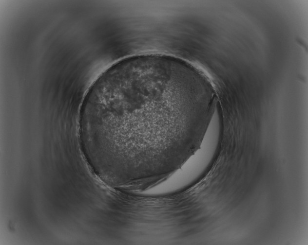 X0000091901279200709191230