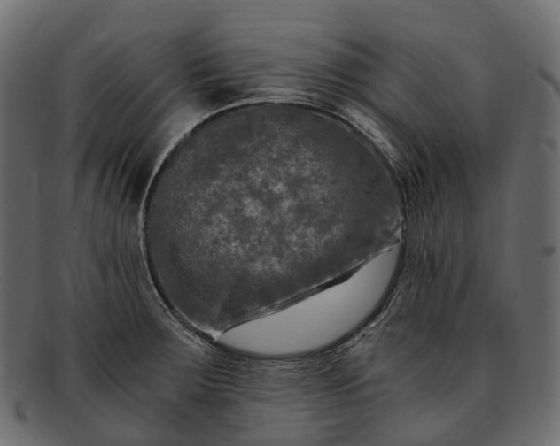 X0000091901283200709191230