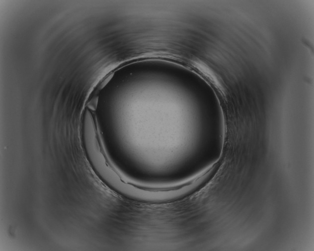 X0000091901284200709191230