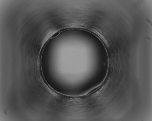 X0000091901285200709191230