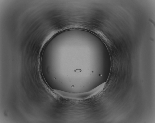 X0000091901286200709191230