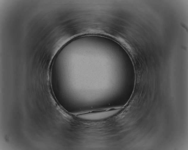 X0000091901287200709191230