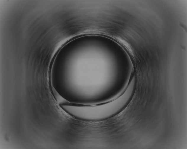 X0000091901288200709191230