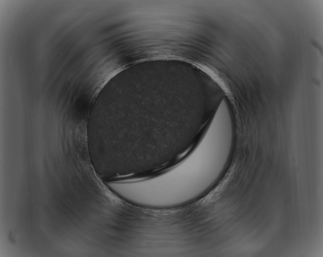 X0000091901289200709191230