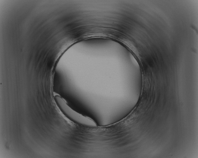 X0000091901290200709191230