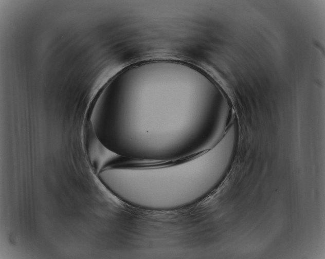 X0000091901293200709191230