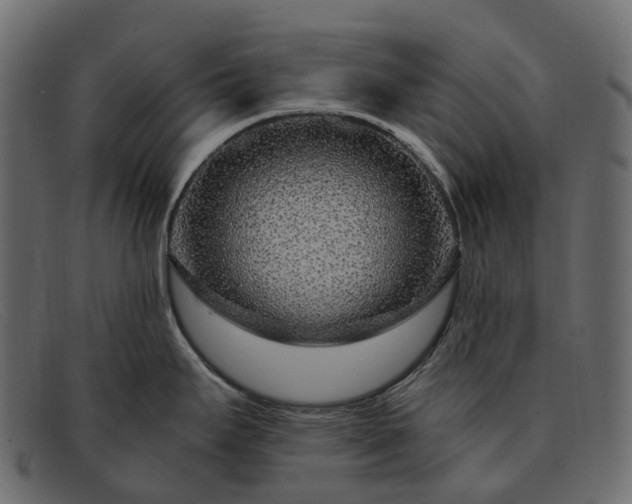 X0000091901295200709191230