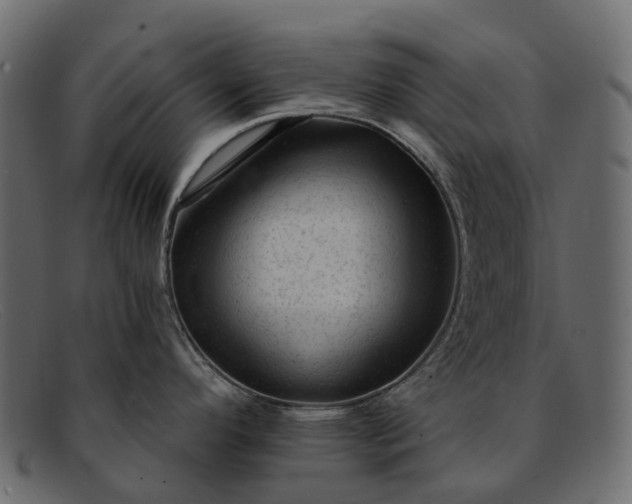 X0000091901296200709191230