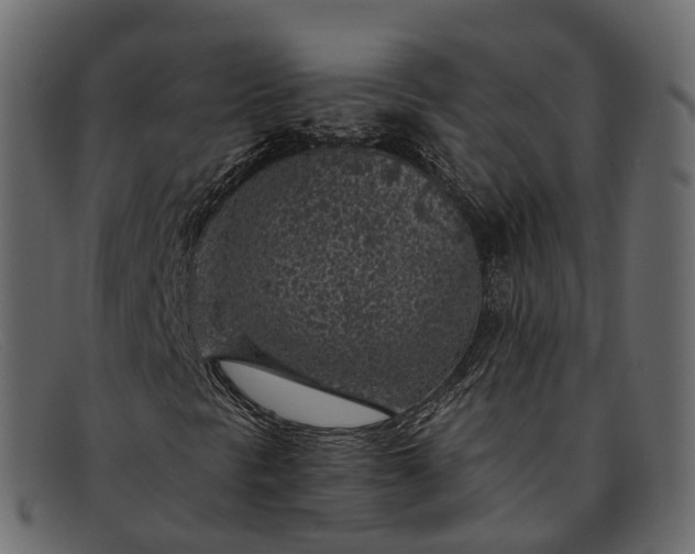 X0000091901297200709191229