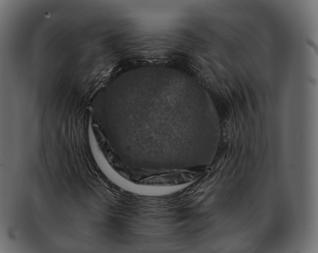 X0000091901298200709191229