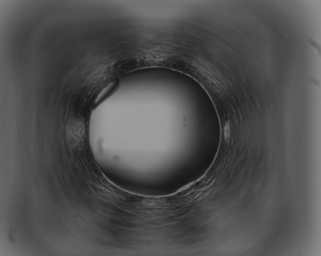 X0000091901299200709191229