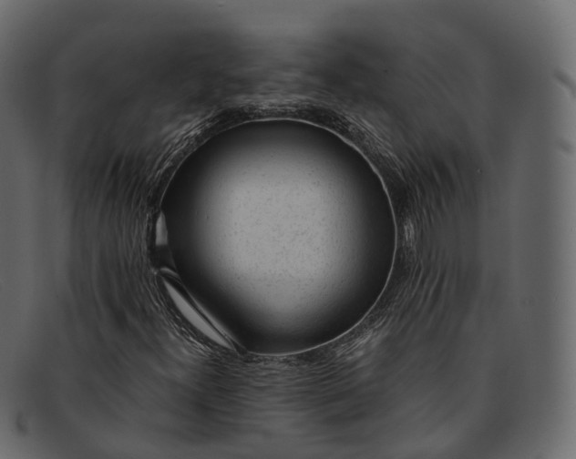 X0000091901300200709191229