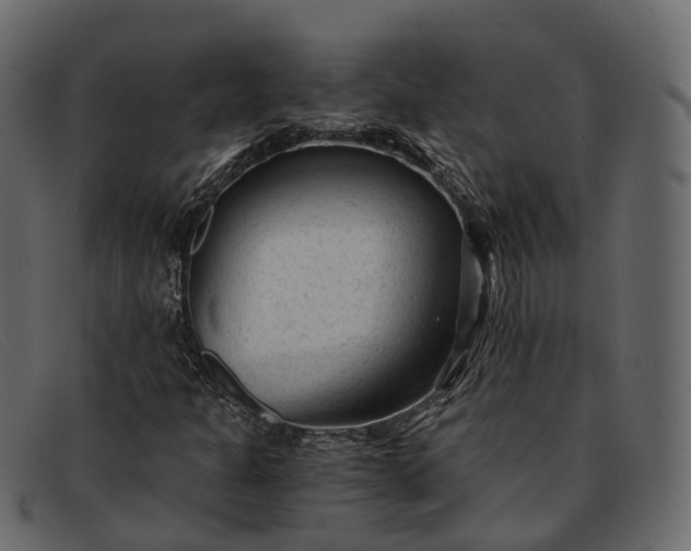 X0000091901301200709191229