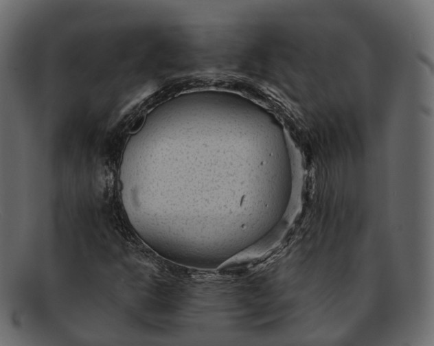 X0000091901302200709191229