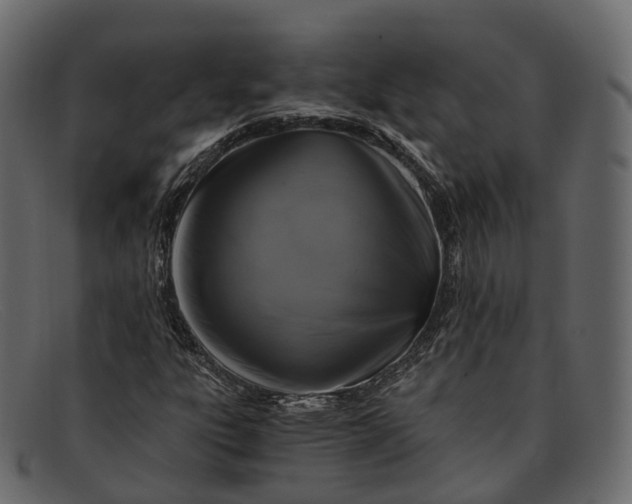 X0000091901303200709191229