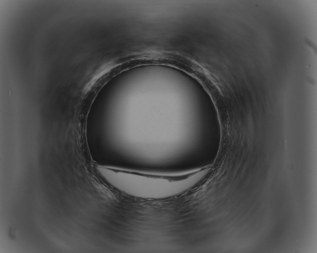 X0000091901304200709191229