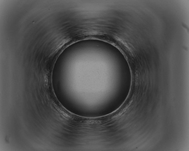 X0000091901305200709191229