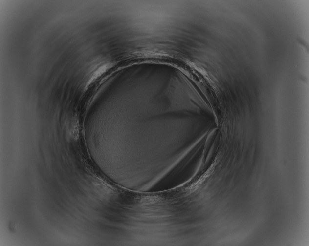 X0000091901306200709191229