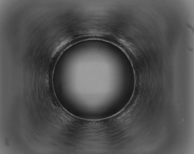 X0000091901307200709191229