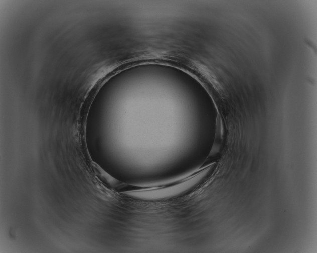 X0000091901308200709191229