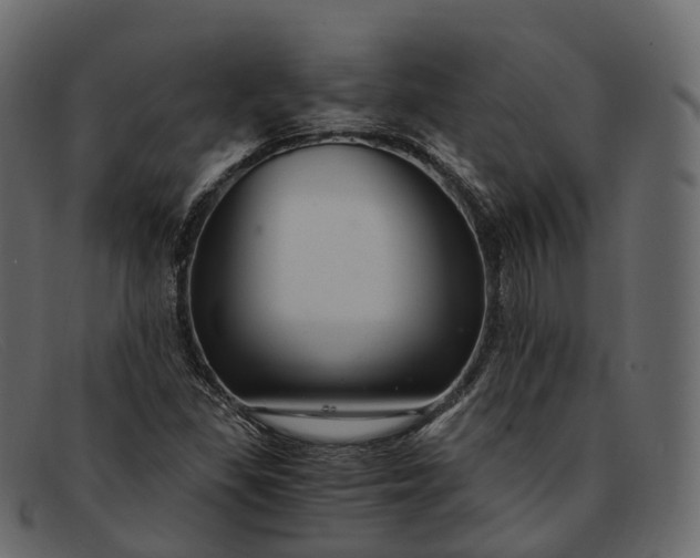 X0000091901309200709191229