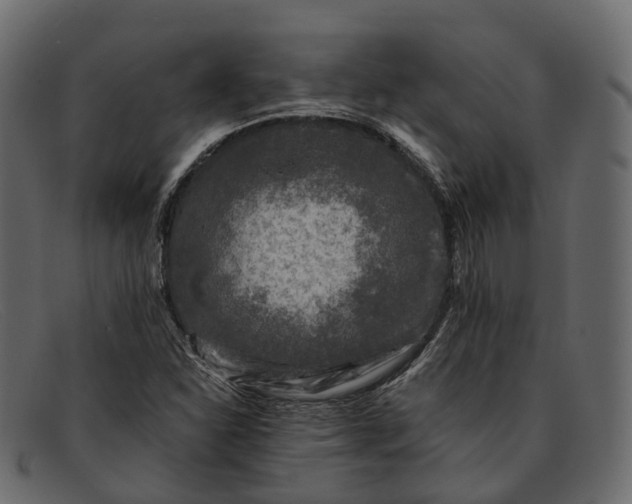 X0000091901310200709191229