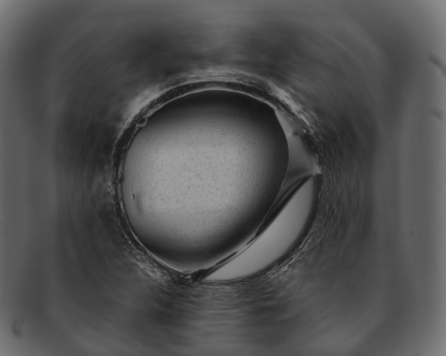 X0000091901312200709191229