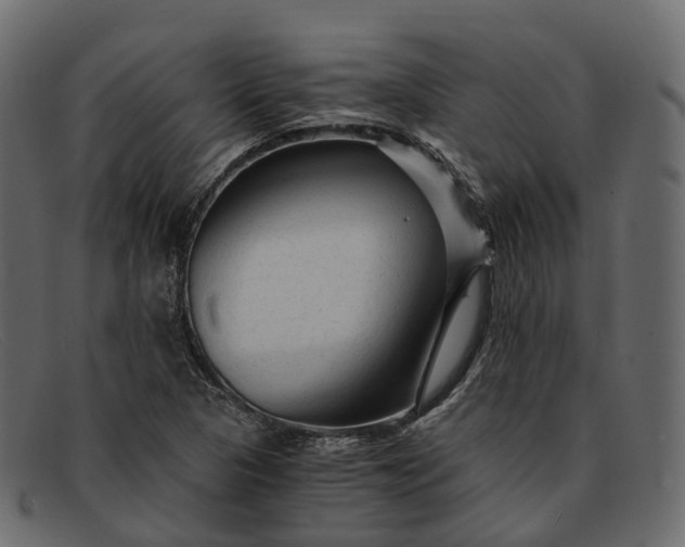 X0000091901313200709191229