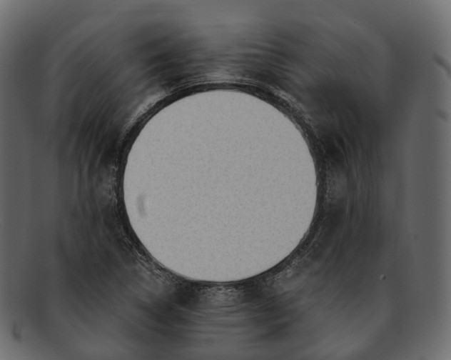 X0000091901314200709191229