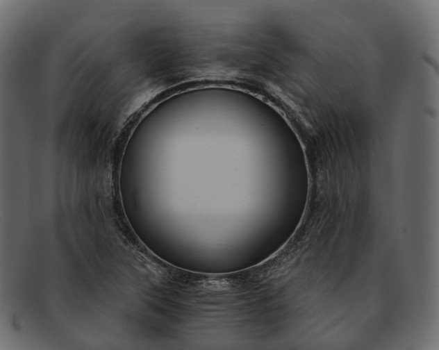 X0000091901315200709191229