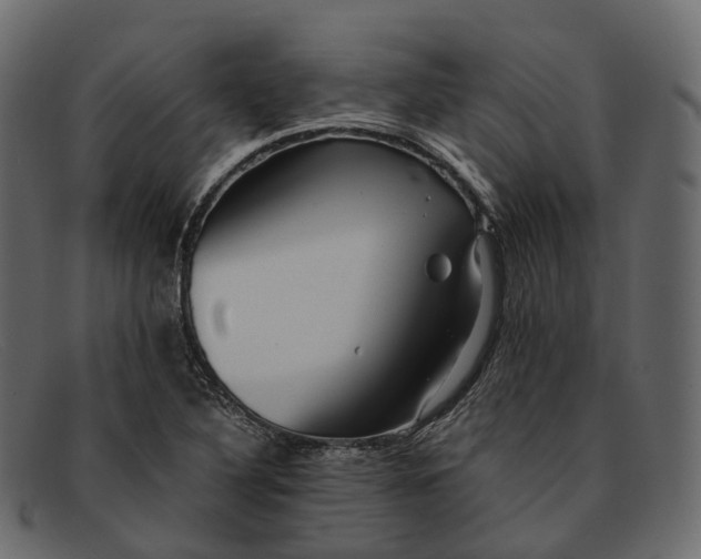 X0000091901316200709191229